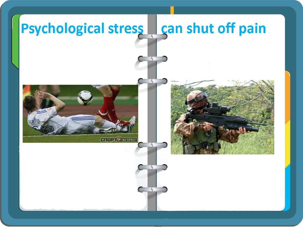 Psychological stress can shut off pain